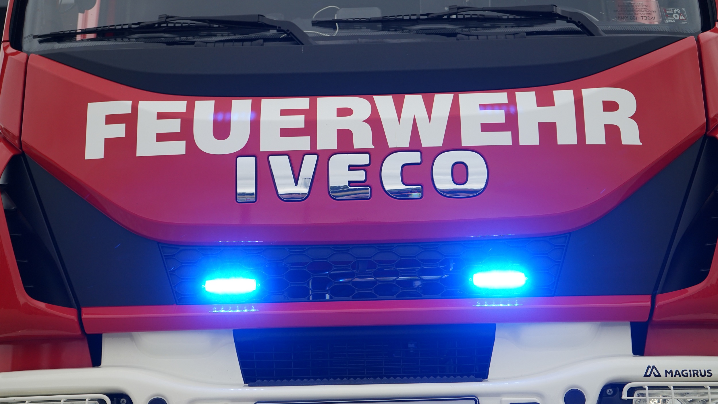 Einsatzfoto Kuh im Kanal